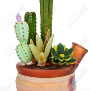 Shop 14mm Cactus Succulent Waterpipe by Turtle Time & Sarita Glass in australian