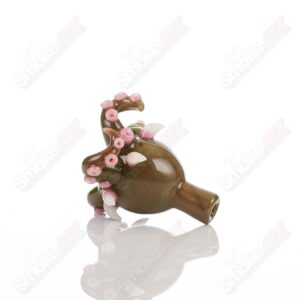 Shop Bubble Cap (Spanish Olive) SALT in australian