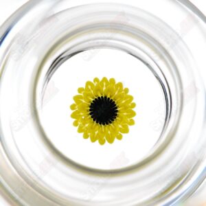 Shop Sunflower Accent Footed IPA Craft Beer Glass w Double Maria Blake Winegard x Drinking Vessels in australian
