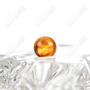 Shop Bamboo Pearl Darby Holm Glass in australian