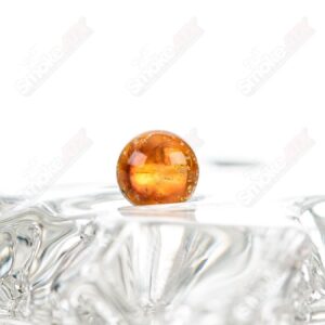 Shop Bamboo Pearl Darby Holm Glass in australian