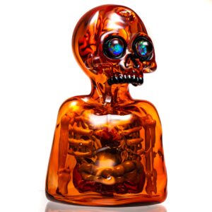 Shop AKM - Anatomy Rig in australian