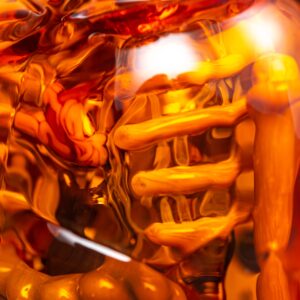 Shop AKM - Anatomy Rig in australian