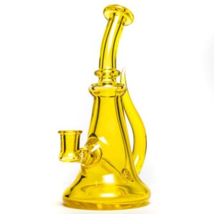 Shop Aaron Vigil - Horn Fat Bottom - CFL Terps in australian