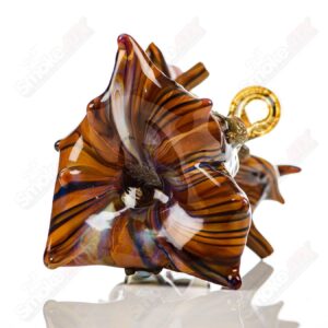 Shop UV Salty Tree Stump RipCurl By Stoney Chicken & SALT in australian