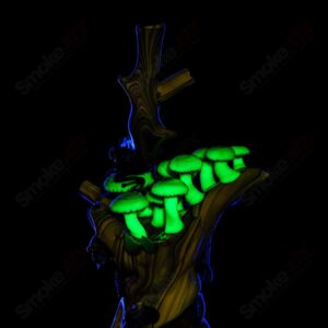 Shop UV Salty Tree Stump RipCurl By Stoney Chicken & SALT in australian