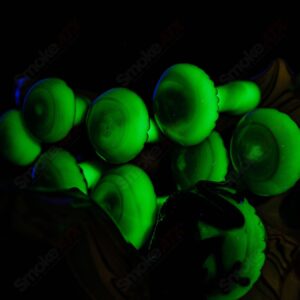 Shop UV Salty Tree Stump RipCurl By Stoney Chicken & SALT in australian