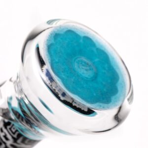 Shop Crunklestein - Millie Mini Beaker - Multi Color w/ Black & White & Agua Azul in australian