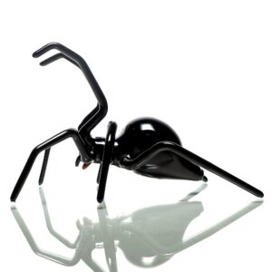 Shop Daniels Glass Art - Black Widow Dry Pipe in australian