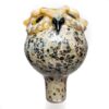 Shop Four Winds Flameworks - Owl Bubble Cap - Brown Frit in australian