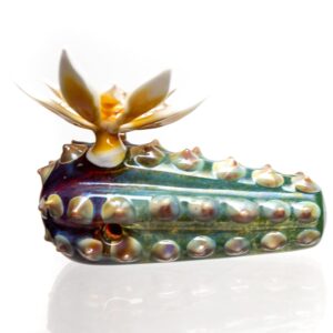 Shop Unparalleled - Cactus Pendant - Yellow Flower in australian