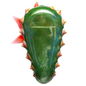 Shop Unparalleled - Cactus Pendant - Red Flower in australian