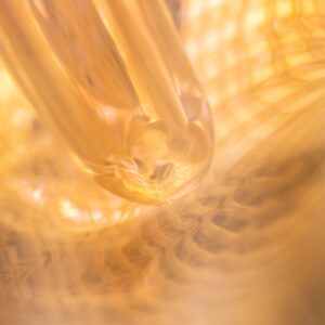 Shop Shurlok Holm x JD Mapleson - Fumed Heady Teddy in australian