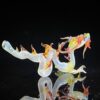 Shop Adolescent Taoist Dragon Pipe in australian