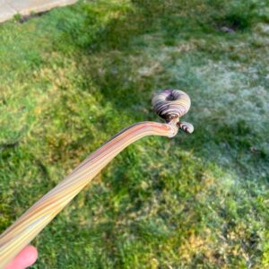 Shop 24" Woody Wood Giant in australian