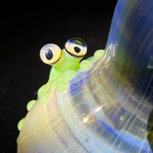 Shop Adventure Frog Hammer in australian