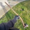 Shop 24" Woody Wood Giant in australian