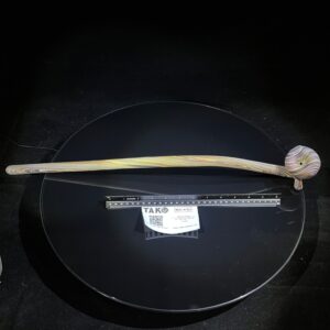 Shop 24" Woody Wood Giant in australian