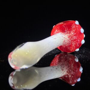 Shop Magical Mushroom Spoon in australian