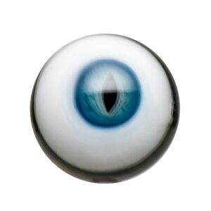 Shop Salt x Toro - Slurper Set - 2 Piece - Xenomorph & Royal Jelly in australian