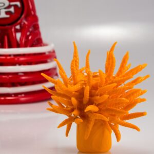 Shop Tristan Hodges - SF 49ers Beanie in australian