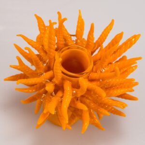 Shop Tristan Hodges - SF 49ers Beanie in australian