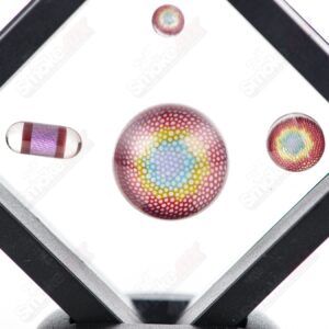 Shop 4pc Slurper Set Dosa Glass in australian