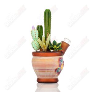 Shop 14mm Cactus Succulent Waterpipe by Turtle Time & Sarita Glass in australian