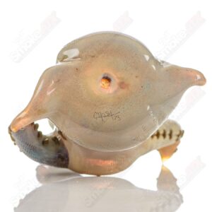 Shop Oogie Boogie Squat Lock Dry Pipe Ghost Glass in australian