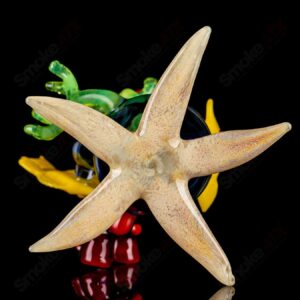 Shop Coral Reef Rig JRod in australian