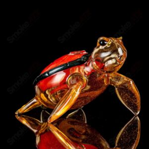 Shop Orange Dichro Honu Sea Turle Rig Turtle Time Glass in australian