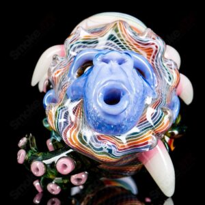 Shop Wooklock by SALT x Blu Sun x Future Glass in australian