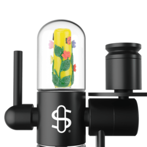 Shop Stundenglass Small Upstem (Straight) Garden Variety in australian