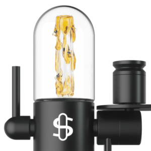 Shop Stundenglass Large Upstem (Straight) Save the Bees in australian