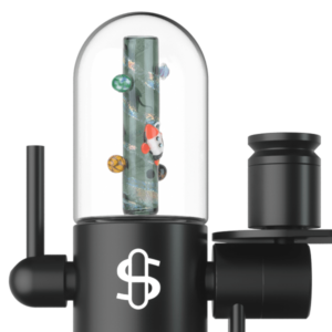 Shop Large Upstem (Straight) Across the Universe in australian