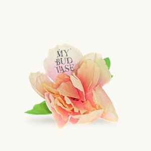 Shop My Bud Vase Flower Bowl Poker in australian