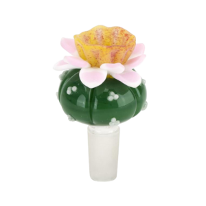 Shop Empire Glassworks Bowl Piece in australian