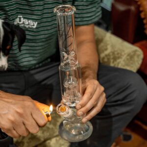 Shop Higher Concepts Tree Percolator Bong 33cm in australian