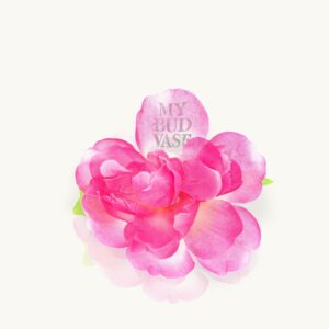 Shop My Bud Vase Flower Bowl Poker in australian