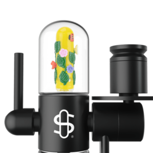 Shop Stundenglass Small Upstem (Percolated) Garden Variety in australian