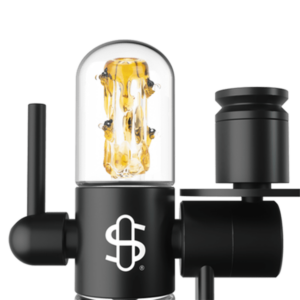 Shop Stundenglass Small Upstem (Straight) Save the Bees in australian