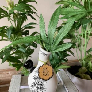 Shop Love Bud Vase Bong in australian